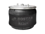 Air spring (steel piston) R836DFS08