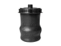 Air spring (seat) 80-195