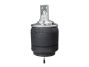 Air spring (plastic piston) R6605SDFL65